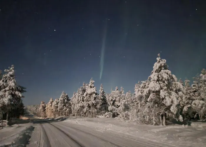 Chalet Tunturihuvila 1 *